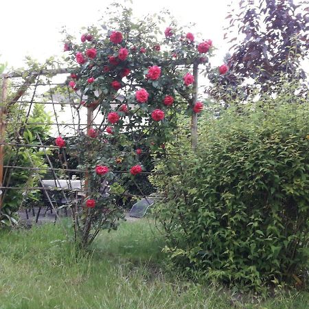 Gartenblick Apartamento Graal-Mueritz Exterior foto